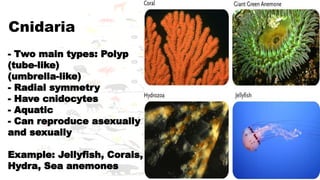 5. TAXONOMIC.CLASSIFICATION.ORGANISMSpptx | PPTX