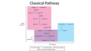Classical Pathway
 