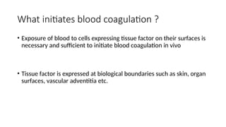 What initiates blood coagulation ?
• Exposure of blood to cells expressing tissue factor on their surfaces is
necessary and sufficient to initiate blood coagulation in vivo
• Tissue factor is expressed at biological boundaries such as skin, organ
surfaces, vascular adventitia etc.
 