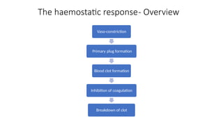 The haemostatic response- Overview
Vaso-constriction
Primary plug formation
Blood clot formation
Inhibition of coagulation
Breakdown of clot
 
