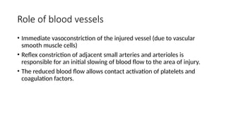 Role of blood vessels
• Immediate vasoconstriction of the injured vessel (due to vascular
smooth muscle cells)
• Reflex constriction of adjacent small arteries and arterioles is
responsible for an initial slowing of blood flow to the area of injury.
• The reduced blood flow allows contact activation of platelets and
coagulation factors.
 