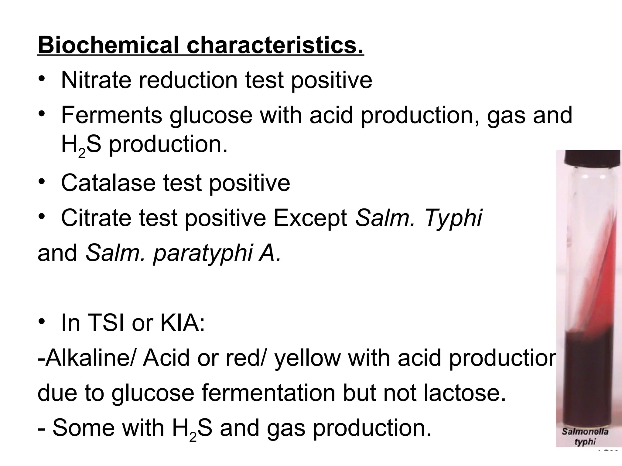 Biochemical characteristics.
• Nitrate reduction test positive
• Ferments glucose with acid production, gas and
H2S production.
• Catalase test positive
• Citrate test positive Except Salm. Typhi
and Salm. paratyphi A.
• In TSI or KIA:
-Alkaline/ Acid or red/ yellow with acid production
due to glucose fermentation but not lactose.
- Some with H2S and gas production.
 