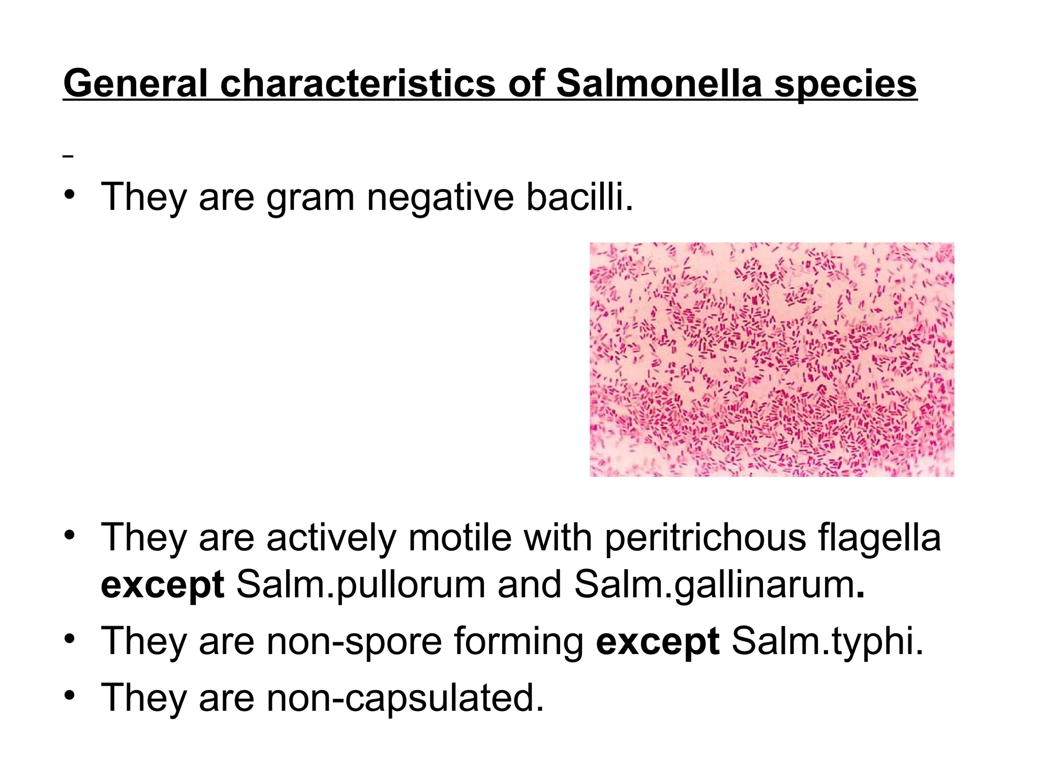 General characteristics of Salmonella species
• They are gram negative bacilli.
• They are actively motile with peritrichous flagella
except Salm.pullorum and Salm.gallinarum.
• They are non-spore forming except Salm.typhi.
• They are non-capsulated.
 