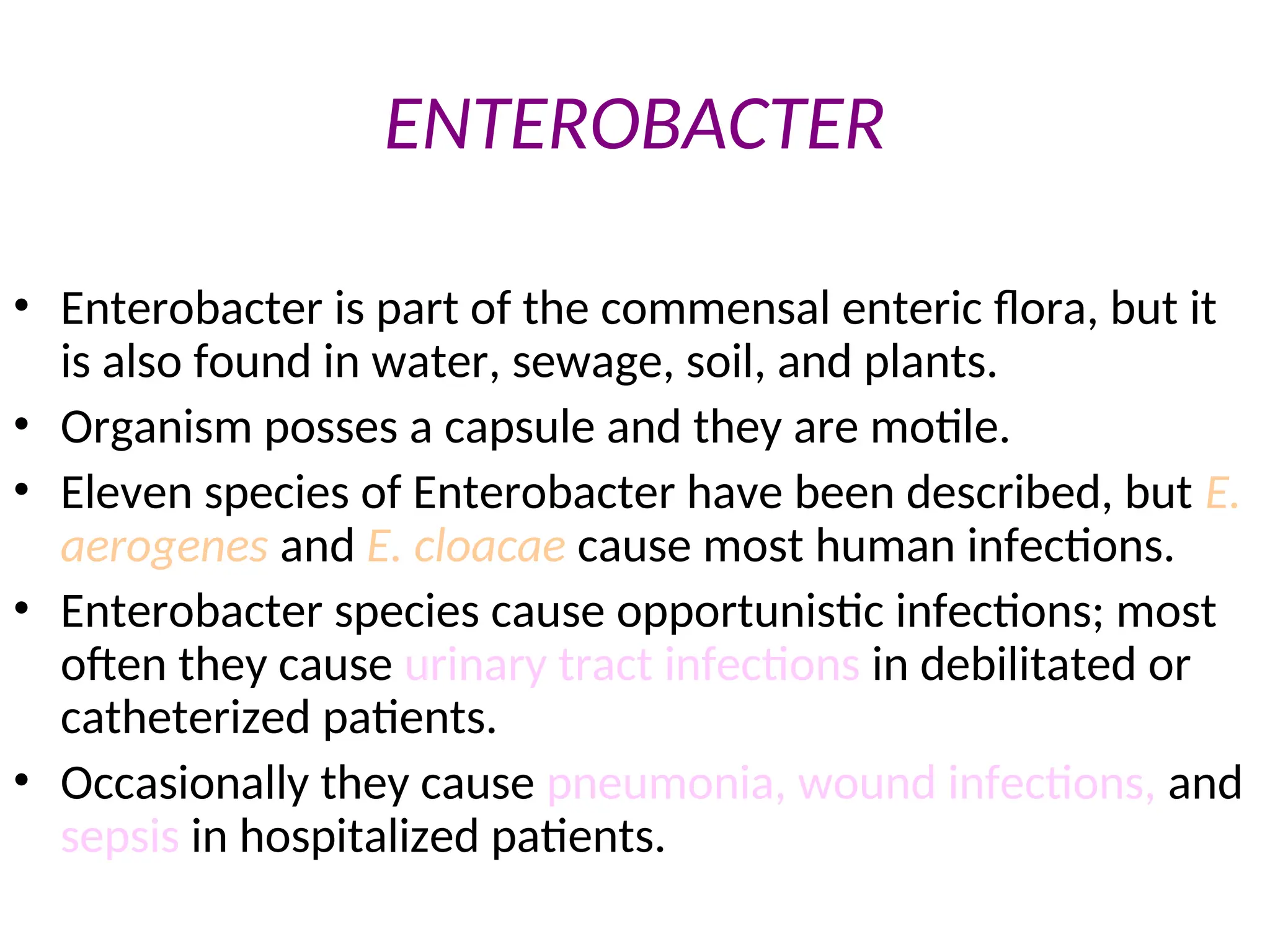 ENTEROBACTER
• Enterobacter is part of the commensal enteric flora, but it
is also found in water, sewage, soil, and plants.
• Organism posses a capsule and they are motile.
• Eleven species of Enterobacter have been described, but E.
aerogenes and E. cloacae cause most human infections.
• Enterobacter species cause opportunistic infections; most
often they cause urinary tract infections in debilitated or
catheterized patients.
• Occasionally they cause pneumonia, wound infections, and
sepsis in hospitalized patients.
 