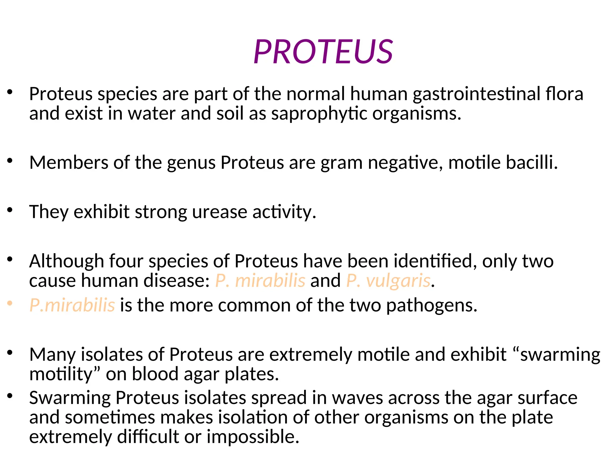 PROTEUS
• Proteus species are part of the normal human gastrointestinal flora
and exist in water and soil as saprophytic organisms.
• Members of the genus Proteus are gram negative, motile bacilli.
• They exhibit strong urease activity.
• Although four species of Proteus have been identified, only two
cause human disease: P. mirabilis and P. vulgaris.
• P.mirabilis is the more common of the two pathogens.
• Many isolates of Proteus are extremely motile and exhibit “swarming
motility” on blood agar plates.
• Swarming Proteus isolates spread in waves across the agar surface
and sometimes makes isolation of other organisms on the plate
extremely difficult or impossible.
 
