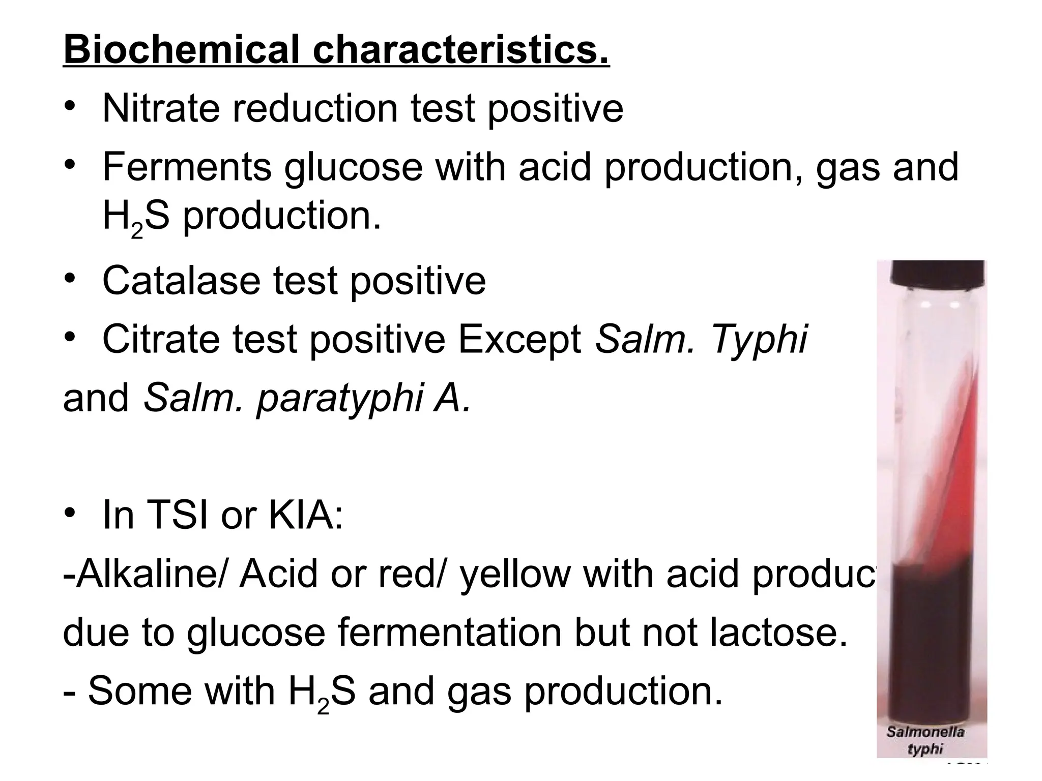 Biochemical characteristics.
• Nitrate reduction test positive
• Ferments glucose with acid production, gas and
H2S production.
• Catalase test positive
• Citrate test positive Except Salm. Typhi
and Salm. paratyphi A.
• In TSI or KIA:
-Alkaline/ Acid or red/ yellow with acid production
due to glucose fermentation but not lactose.
- Some with H2S and gas production.
 