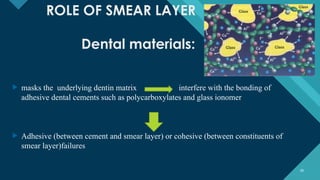 Smear Layer Modifications Smear LAYER in endodontics and conservative dentistr | PPTX