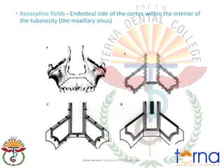 5.-Growth-and-development-of-maxilla.pdf