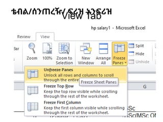 Introduction to Microsoft Excel Presentation.pptx