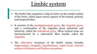 5. Limbic System anatomy,physiology and related pathology | PDF
