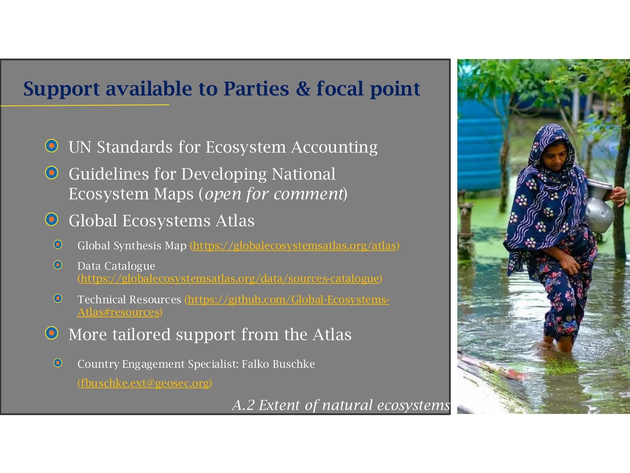 Support available to Parties & focal point
UN Standards for Ecosystem Accounting
Guidelines for Developing National
Ecosystem Maps (open for comment)
Global Ecosystems Atlas
Global Synthesis Map (https://globalecosystemsatlas.org/atlas)
Data Catalogue
(https://globalecosystemsatlas.org/data/sources-catalogue)
Technical Resources (https://github.com/Global-Ecosystems-
Atlas#resources)
More tailored support from the Atlas
Country Engagement Specialist: Falko Buschke
(fbuschke.ext@geosec.org)
A.2 Extent of natural ecosystems
 