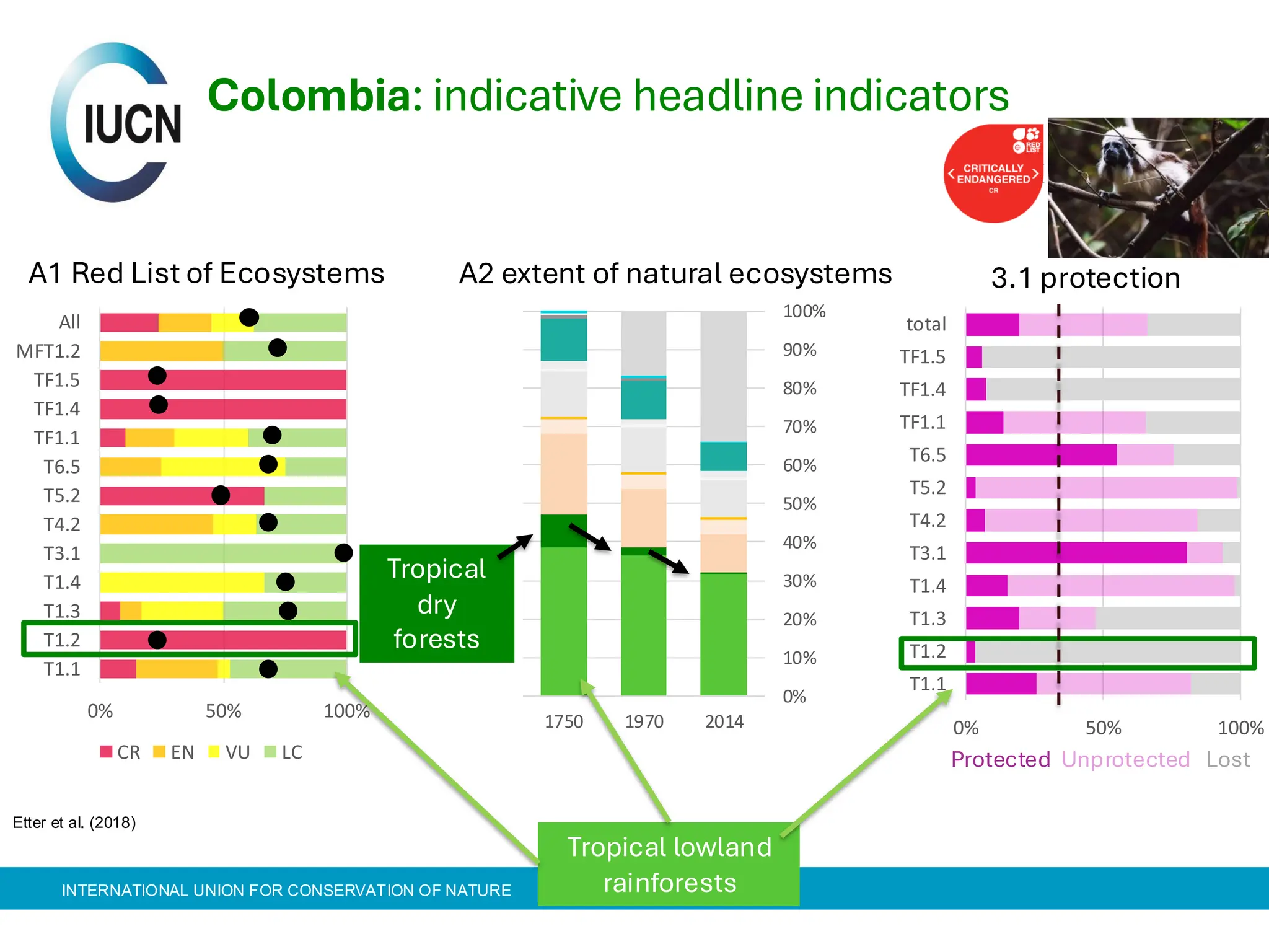 INTERNATIONAL UNION FOR CONSERVATION OF NATURE
0 0.2 0.4 0.6 0.8 1
0
5
1
0
R
L
I
e
Colombia: indicative headline indicators
0% 50% 100%
T1.1
T1.2
T1.3
T1.4
T3.1
T4.2
T5.2
T6.5
TF1.1
TF1.4
TF1.5
MFT1.2
All
CR EN VU LC
0%
10%
20%
30%
40%
50%
60%
70%
80%
90%
100%
1750 1970 2014
T1.1 T1.2 T1.3
T1.4 T3.1 T4.2
Tropical lowland
rainforests
Tropical
dry
forests
0% 50% 100%
total
TF1.5
TF1.4
TF1.1
T6.5
T5.2
T4.2
T3.1
T1.4
T1.3
T1.2
T1.1
Protected Unprotected Lost
A1 Red List of Ecosystems A2 extent of natural ecosystems 3.1 protection
Etter et al. (2018)
 