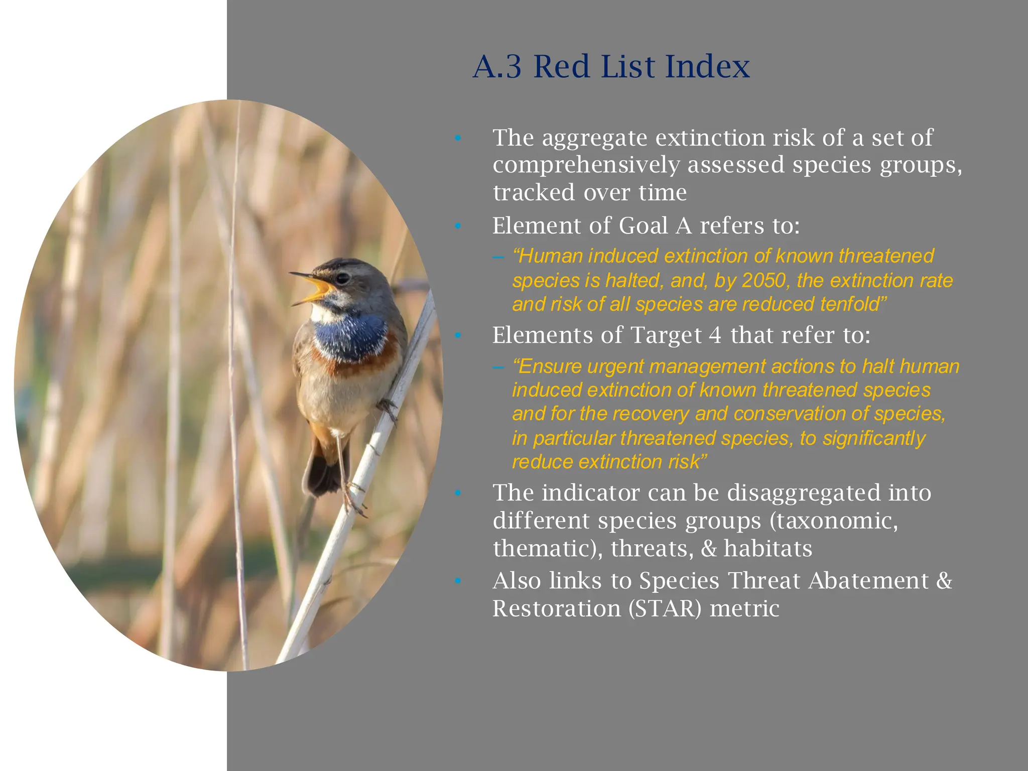 • The aggregate extinction risk of a set of
comprehensively assessed species groups,
tracked over time
• Element of Goal A refers to:
– “Human induced extinction of known threatened
species is halted, and, by 2050, the extinction rate
and risk of all species are reduced tenfold”
• Elements of Target 4 that refer to:
– “Ensure urgent management actions to halt human
induced extinction of known threatened species
and for the recovery and conservation of species,
in particular threatened species, to significantly
reduce extinction risk”
• The indicator can be disaggregated into
different species groups (taxonomic,
thematic), threats, & habitats
• Also links to Species Threat Abatement &
Restoration (STAR) metric
A.3 Red List Index
 