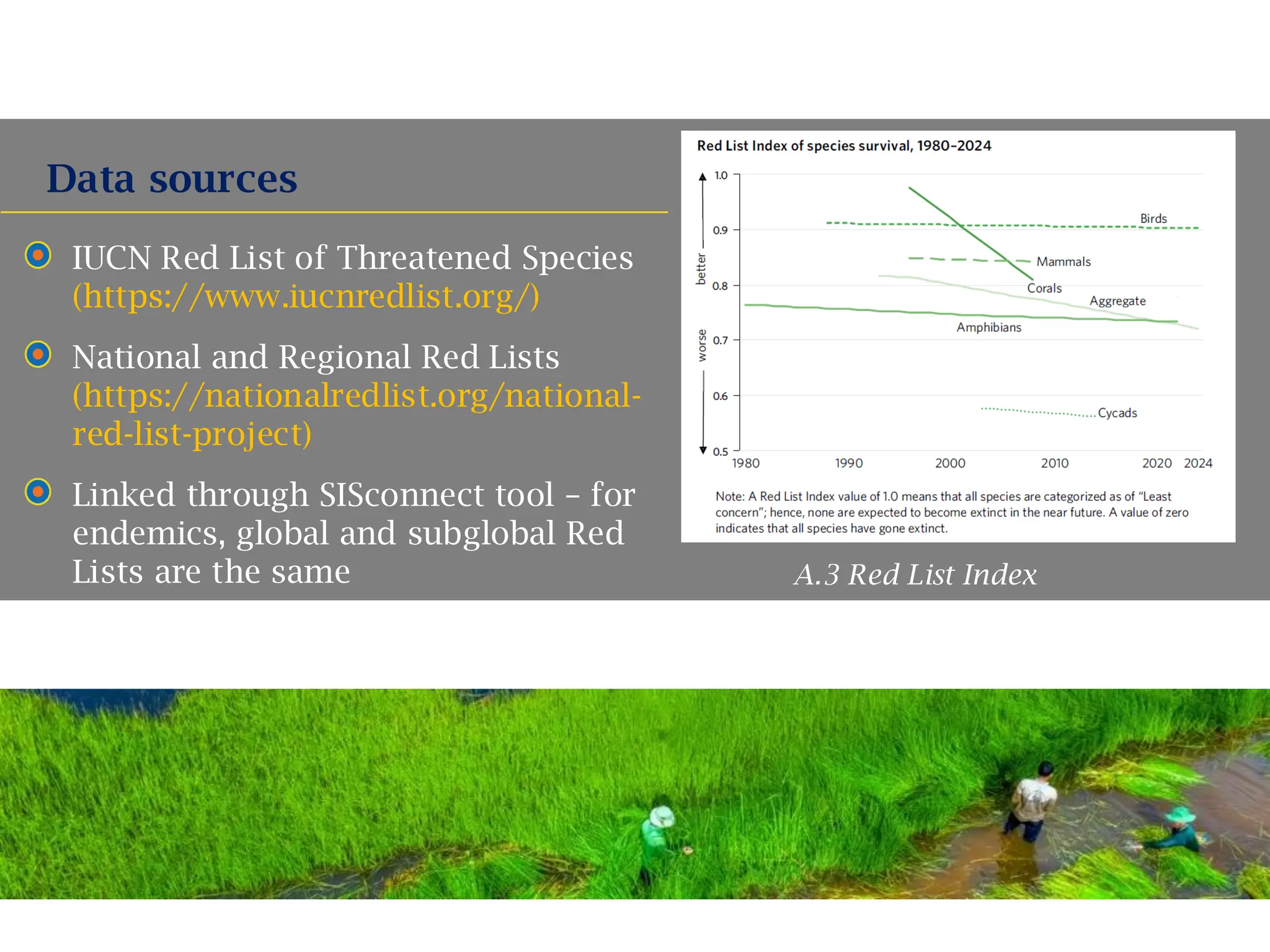 IUCN Red List of Threatened Species
(https://www.iucnredlist.org/)
National and Regional Red Lists
(https://nationalredlist.org/national-
red-list-project)
Linked through SISconnect tool – for
endemics, global and subglobal Red
Lists are the same
Data sources
Text
Text
Text
A.3 Red List Index
 