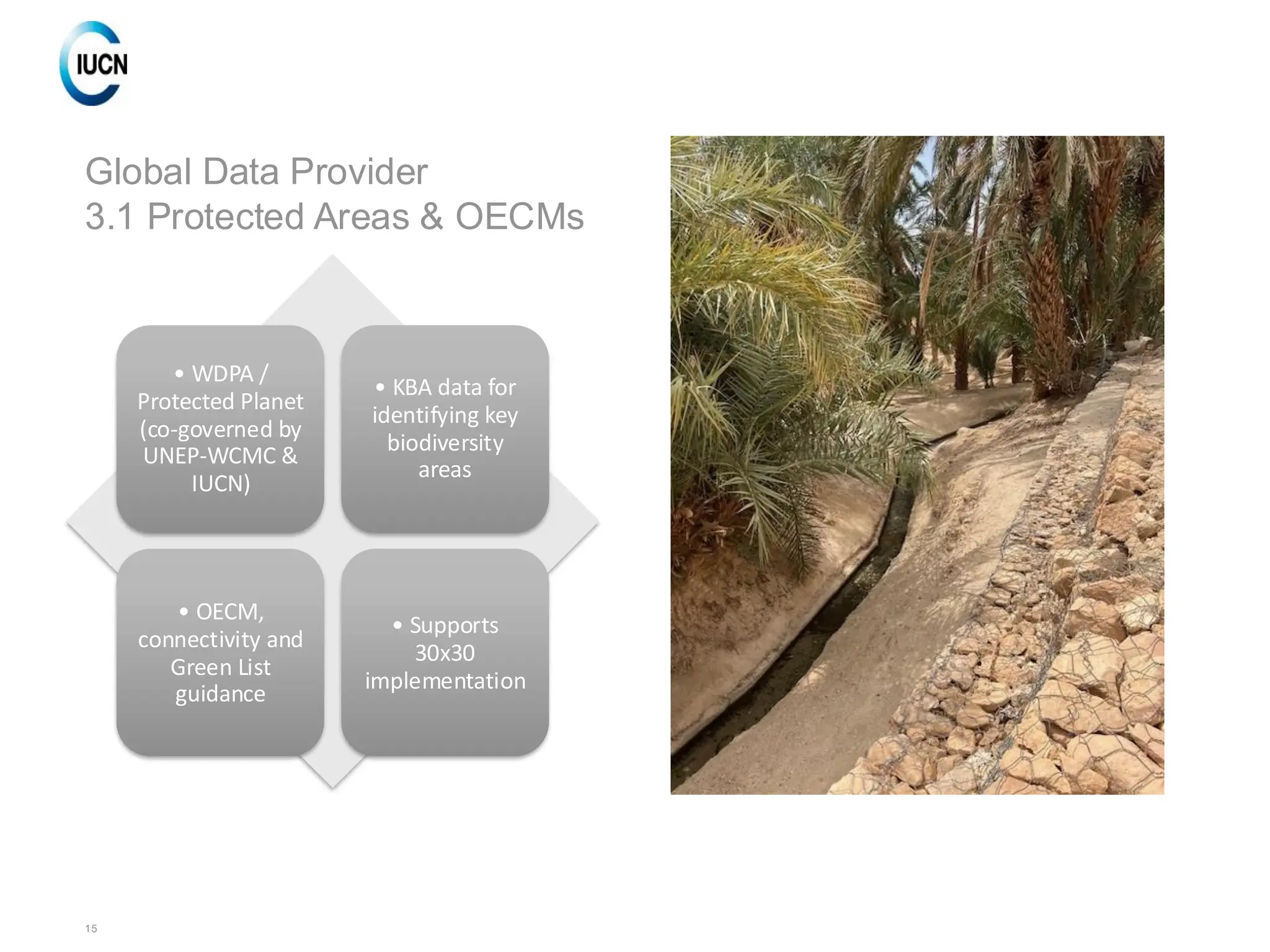 15
Global Data Provider
3.1 Protected Areas & OECMs
• WDPA /
Protected Planet
(co-governed by
UNEP-WCMC &
IUCN)
• KBA data for
identifying key
biodiversity
areas
• OECM,
connectivity and
Green List
guidance
• Supports
30x30
implementation
 
