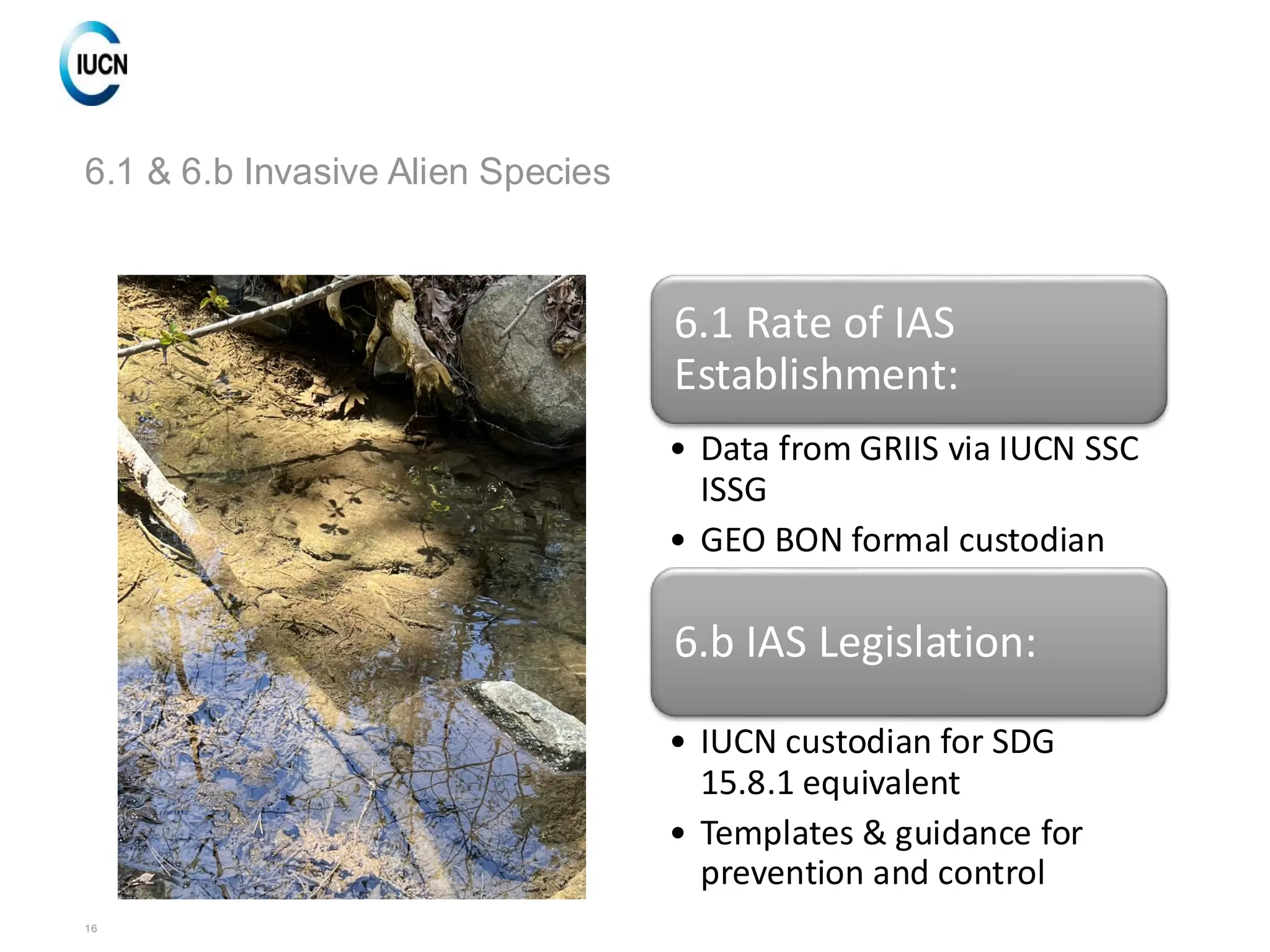16
6.1 & 6.b Invasive Alien Species
6.1 Rate of IAS
Establishment:
• Data from GRIIS via IUCN SSC
ISSG
• GEO BON formal custodian
6.b IAS Legislation:
• IUCN custodian for SDG
15.8.1 equivalent
• Templates & guidance for
prevention and control
 