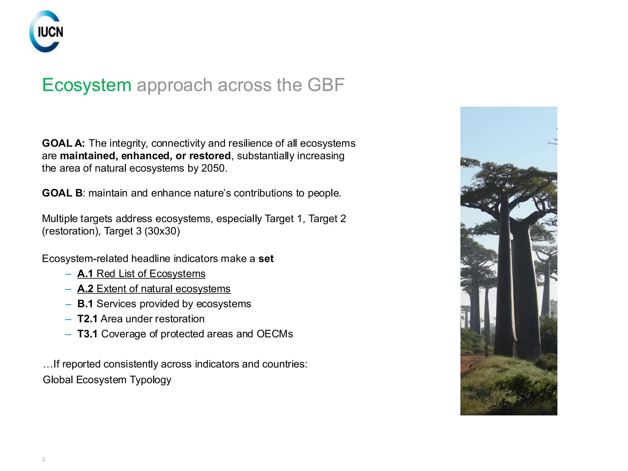 3
Ecosystem approach across the GBF
GOAL A: The integrity, connectivity and resilience of all ecosystems
are maintained, enhanced, or restored, substantially increasing
the area of natural ecosystems by 2050.
GOAL B: maintain and enhance nature’s contributions to people.
Multiple targets address ecosystems, especially Target 1, Target 2
(restoration), Target 3 (30x30)
Ecosystem-related headline indicators make a set
– A.1 Red List of Ecosystems
– A.2 Extent of natural ecosystems
– B.1 Services provided by ecosystems
– T2.1 Area under restoration
– T3.1 Coverage of protected areas and OECMs
…If reported consistently across indicators and countries:
Global Ecosystem Typology
 