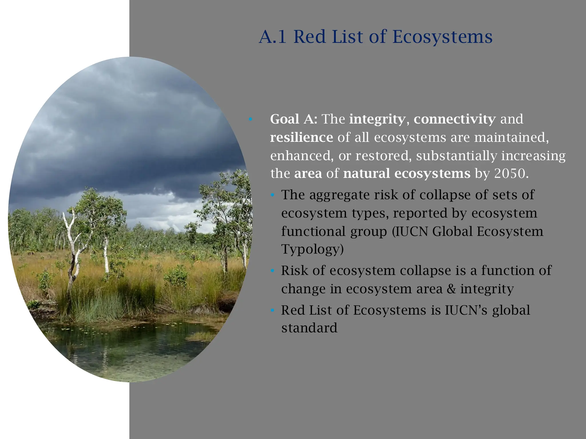 • Goal A: The integrity, connectivity and
resilience of all ecosystems are maintained,
enhanced, or restored, substantially increasing
the area of natural ecosystems by 2050.
• The aggregate risk of collapse of sets of
ecosystem types, reported by ecosystem
functional group (IUCN Global Ecosystem
Typology)
• Risk of ecosystem collapse is a function of
change in ecosystem area & integrity
• Red List of Ecosystems is IUCN’s global
standard
A.1 Red List of Ecosystems
 