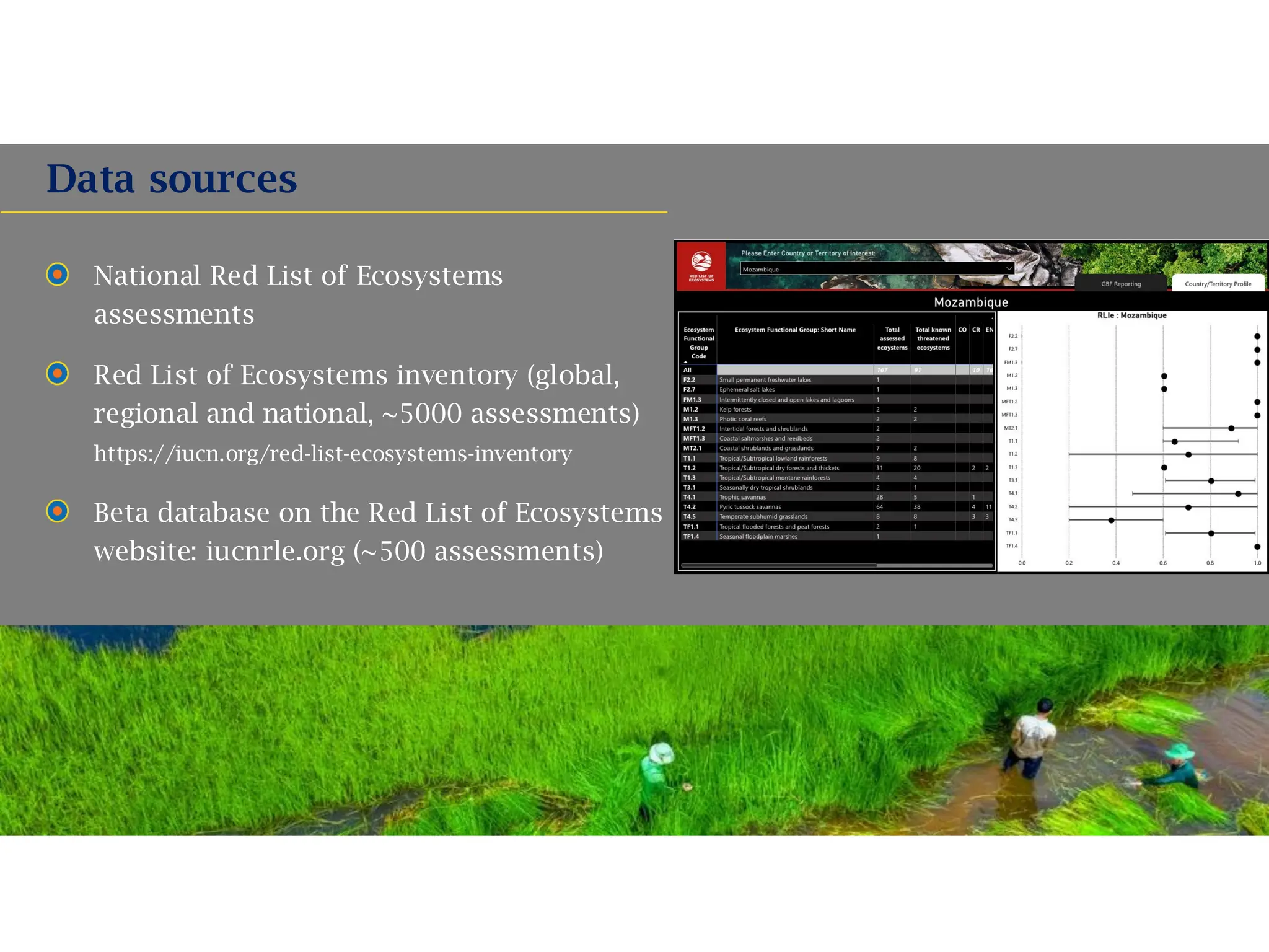 National Red List of Ecosystems
assessments
Red List of Ecosystems inventory (global,
regional and national, ~5000 assessments)
https://iucn.org/red-list-ecosystems-inventory
Beta database on the Red List of Ecosystems
website: iucnrle.org (~500 assessments)
Data sources
 