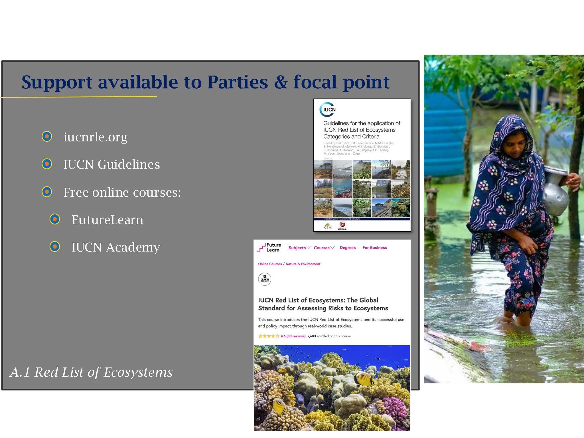 Support available to Parties & focal point
iucnrle.org
IUCN Guidelines
Free online courses:
FutureLearn
IUCN Academy
A.1 Red List of Ecosystems
 