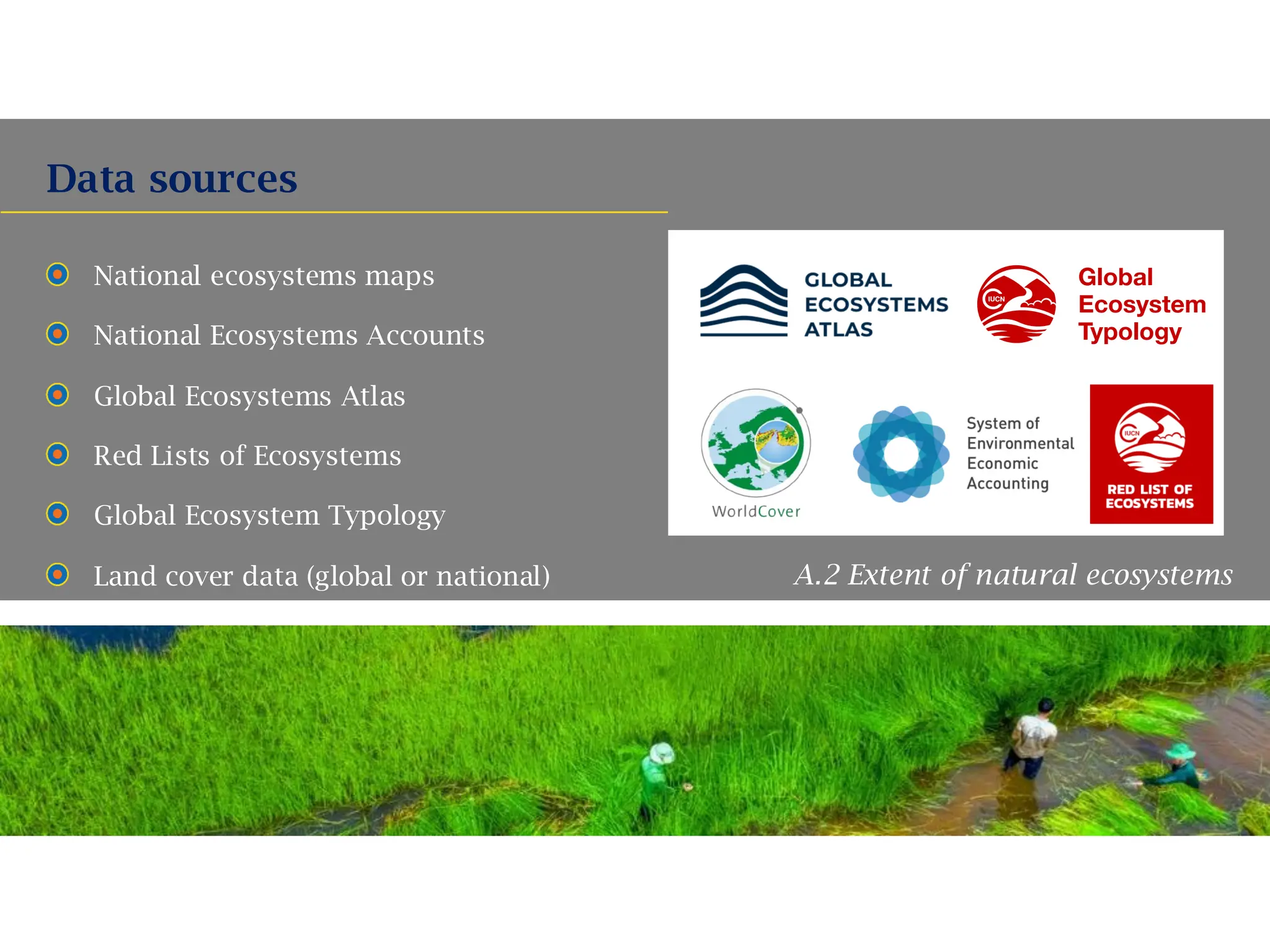 National ecosystems maps
National Ecosystems Accounts
Global Ecosystems Atlas
Red Lists of Ecosystems
Global Ecosystem Typology
Land cover data (global or national)
Data sources
A.2 Extent of natural ecosystems
https://www.google.com/url?sa=i&url=h
ttps%3A%2F%2Fgithub.com%2FESA-
WorldCover%2Fesa-worldcover-
datasets&psig=AOvVaw2FZaEKTlkUoDD8
E2E2nRXr&ust=1759820596591000&sou
rce=images&cd=vfe&opi=89978449&ved
=0CBUQjRxqFwoTCJib5dOAj5ADFQAAAA
AdAAAAABAE
 