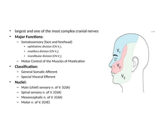 Cnv3 Course Cranial nerves I-VI with clinical correlates.pptx