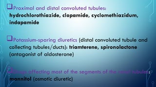 Proximal and distal convoluted tubules:
hydrochlorothiazide, clopamide, cyclomethiazidum,
indapamide
Potassium-sparing diuretics (distal convoluted tubule and
collecting tubules/ducts): triamterene, spironolactone
(antagonist of aldosterone)
Drugs affecting most of the segments of the renal tubules:
mannitol (osmotic diuretic)
 