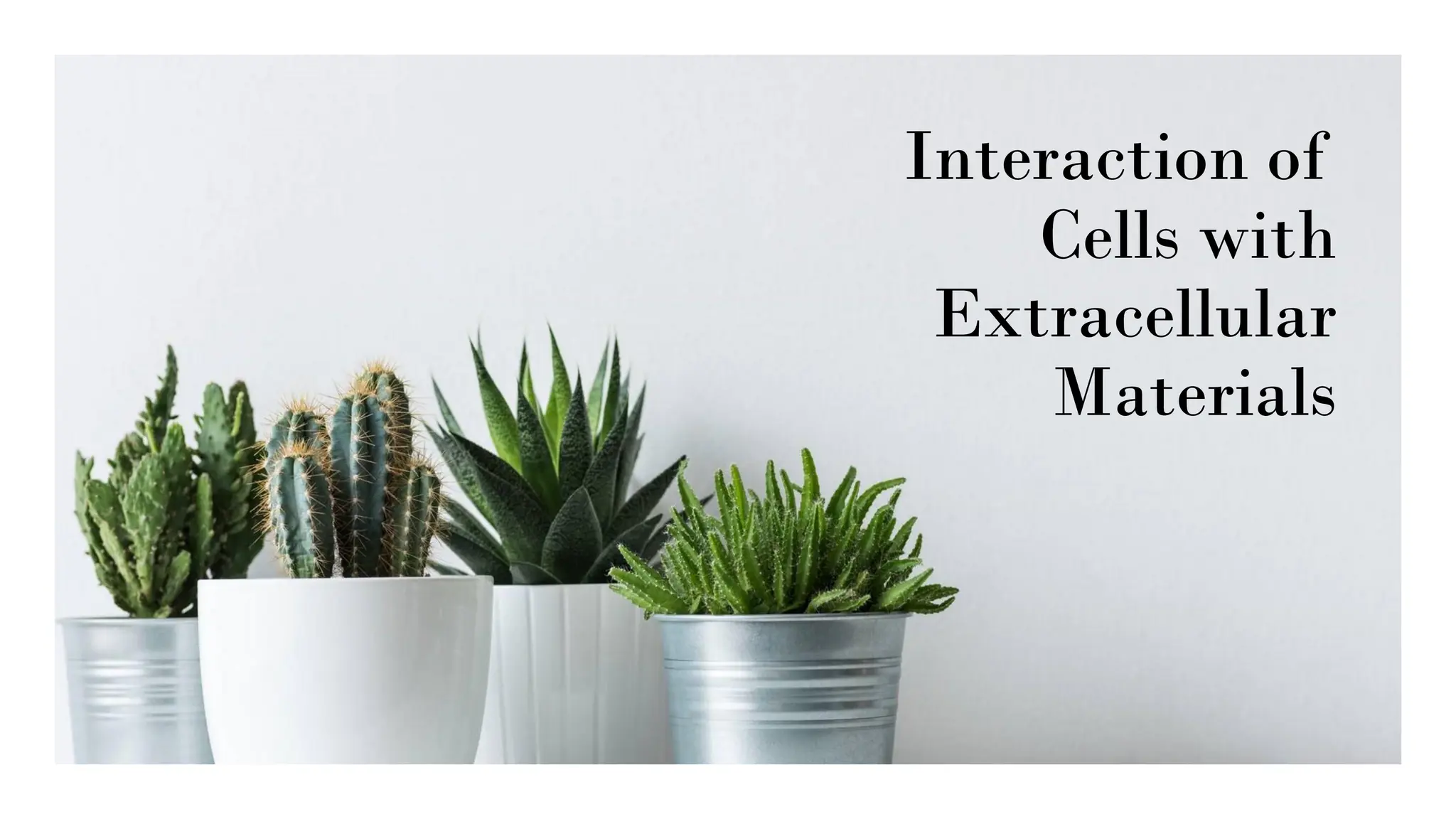 Interaction of
Cells with
Extracellular
Materials
 
