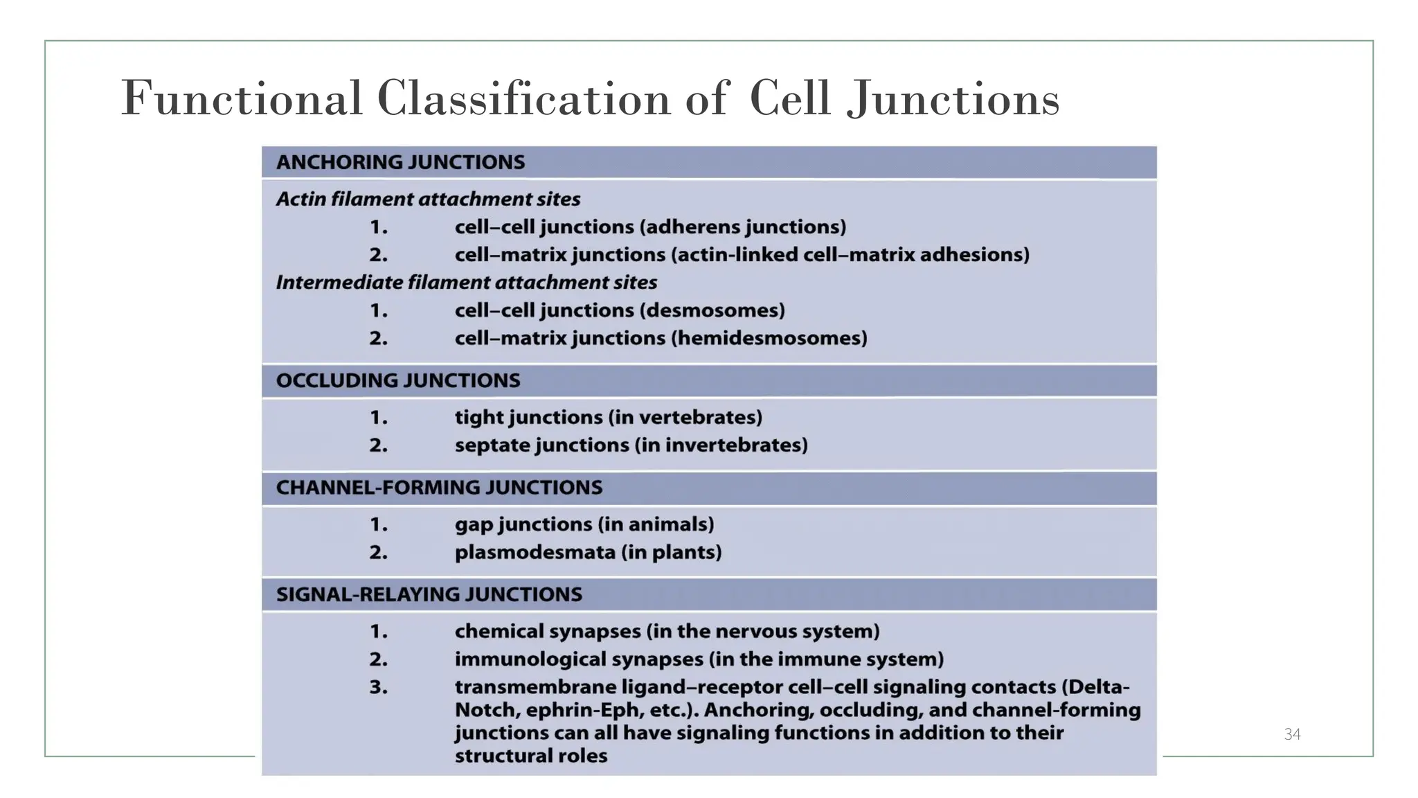 Functional Classification of Cell Junctions
34
 