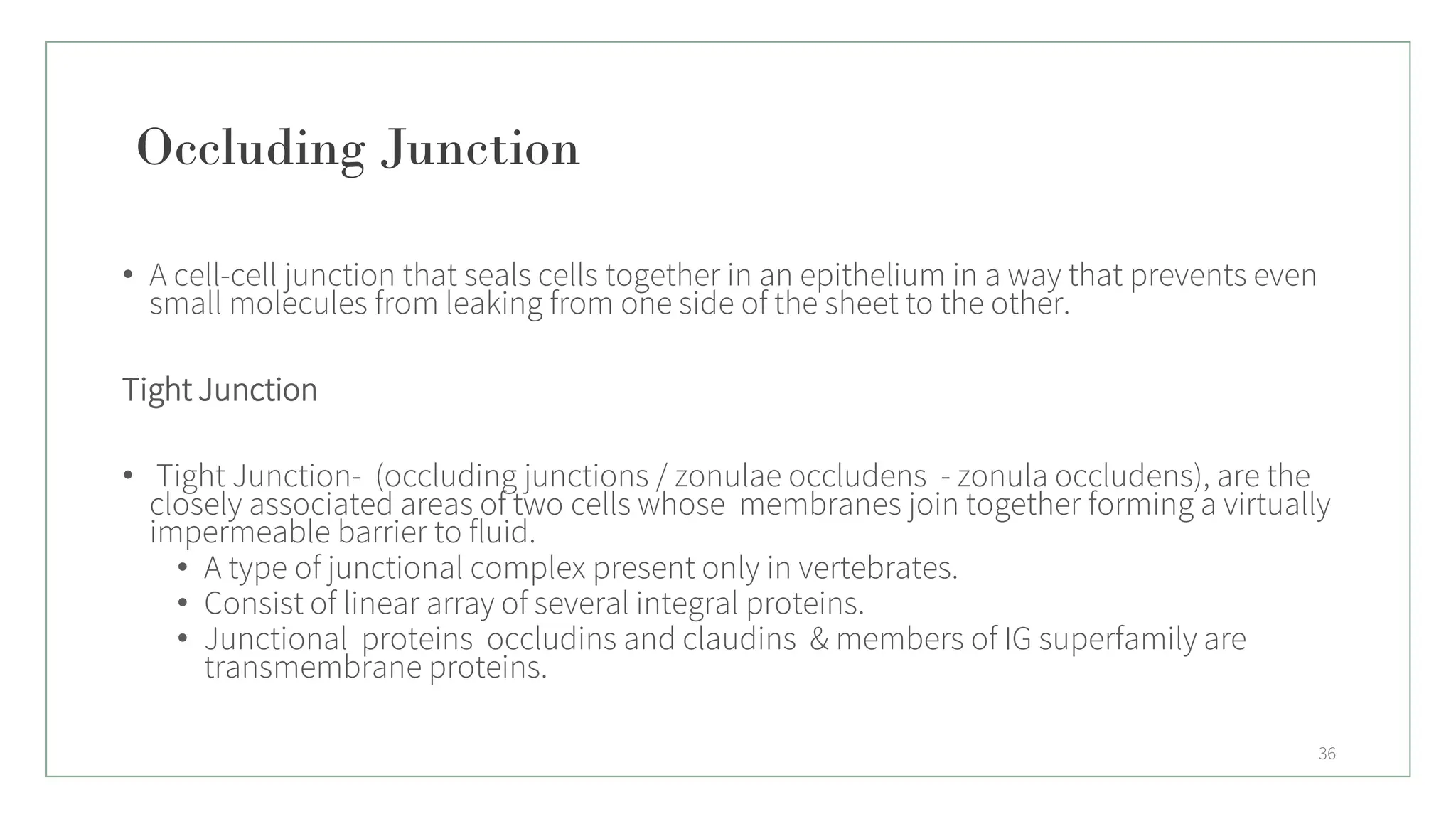 Occluding Junction
• A cell-cell junction that seals cells together in an epithelium in a way that prevents even
small molecules from leaking from one side of the sheet to the other.
Tight Junction
• Tight Junction- (occluding junctions / zonulae occludens - zonula occludens), are the
closely associated areas of two cells whose membranes join together forming a virtually
impermeable barrier to fluid.
• A type of junctional complex present only in vertebrates.
• Consist of linear array of several integral proteins.
• Junctional proteins occludins and claudins & members of IG superfamily are
transmembrane proteins.
36
 