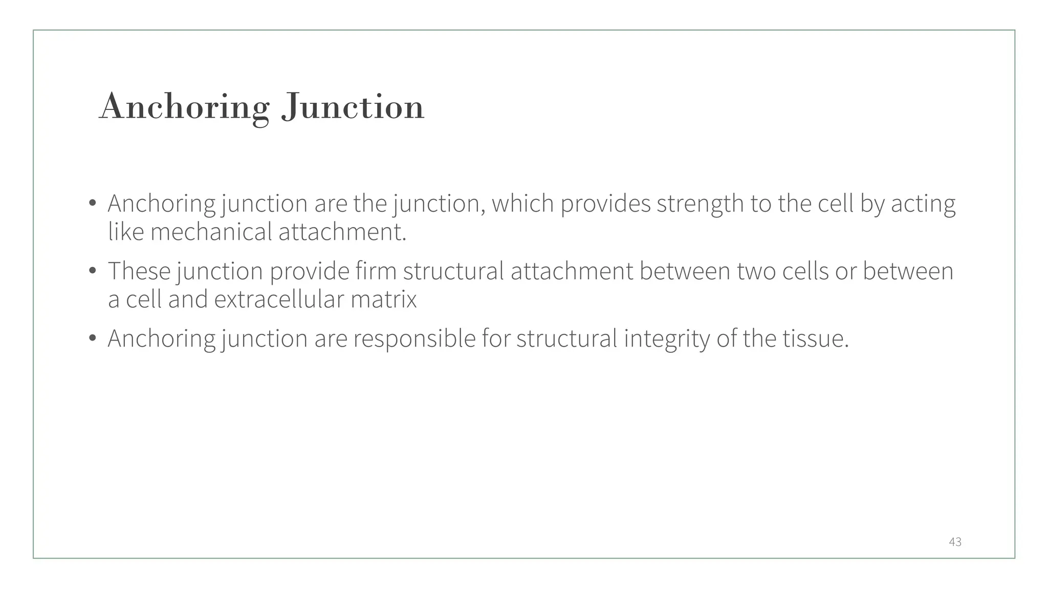 Anchoring Junction
• Anchoring junction are the junction, which provides strength to the cell by acting
like mechanical attachment.
• These junction provide firm structural attachment between two cells or between
a cell and extracellular matrix
• Anchoring junction are responsible for structural integrity of the tissue.
43
 