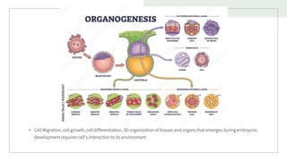 5.1-Interaction-of-Cells-and-Their-Environment-6slides (1).pdf