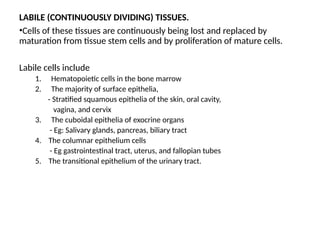 5. TISSUE REPAIR AND REGENERATION.pptx for education | PPTX