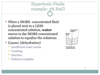 Hypertonic Fluids
example: 3% NaCl
 When a MORE concentrated fluid
is placed next to a LESS
concentrated solution, water
moves to the MORE concentrated
solution to equalize the solutions
 Causes: (dehydration)
 Insufficient water intake
 Vomiting
 Diarrhea
 Diabetes insipidus
27
 