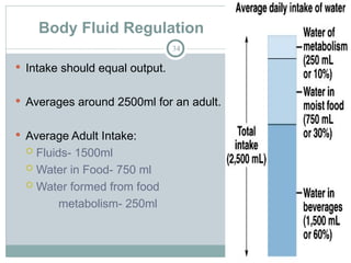 Body Fluid Regulation
34
 Intake should equal output.
 Averages around 2500ml for an adult.
 Average Adult Intake:
 Fluids- 1500ml
 Water in Food- 750 ml
 Water formed from food
metabolism- 250ml
 