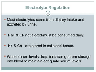 Electrolyte Regulation
40
 Most electrolytes come from dietary intake and
excreted by urine.
 Na+ & Cl- not stored-must be consumed daily.
 K+ & Ca+ are stored in cells and bones.
 When serum levels drop, ions can go from storage
into blood to maintain adequate serum levels.
 