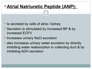 51
Atrial Natriuretic Peptide (ANP):
 Is secreted by cells of atria / kidney
 Secretion is stimulated by increased BP & by
increased ECFV
 Increases urinary NaCl excretion
 also increases urinary water excretion by directly
inhibiting water reabsorption in collecting duct & by
inhibiting ADH secretion
 