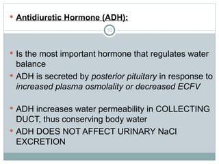 52
 Antidiuretic Hormone (ADH):
 Is the most important hormone that regulates water
balance
 ADH is secreted by posterior pituitary in response to
increased plasma osmolality or decreased ECFV
 ADH increases water permeability in COLLECTING
DUCT, thus conserving body water
 ADH DOES NOT AFFECT URINARY NaCl
EXCRETION
 