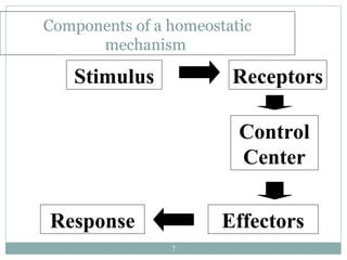 7
Components of a homeostatic
mechanism
Stimulus Receptors
Control
Center
Effectors
Response
 