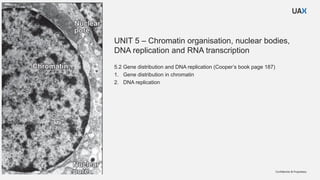Comprehensive Overview of Chromatin Organization, DNA Replication, and ...