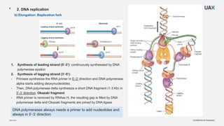 Comprehensive Overview of Chromatin Organization, DNA Replication, and ...