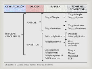 Suture Repair Classification Chart.pdf Comprehensive Overview of Surgical Sutures: Types, Properties, and ...