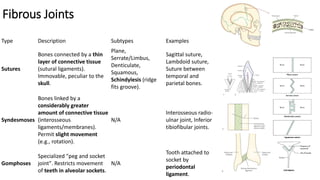 Ridge Joint Examples 5.joints of human body.type of jounts & their classification based on ...
