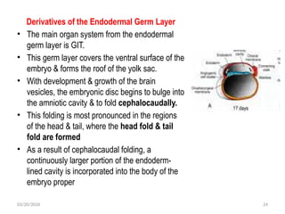 Embryonic Period, stages, key details to note | PPTX