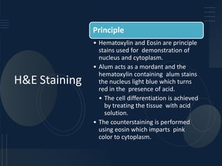 Counterstaining 5. H and E Staining used for tissues .pdf