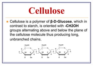 Comprehensive Overview of Plant Cell Structure and Function | PDF