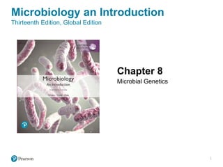 Comprehensive Overview of Microbial Genetics and Gene Regulation in ...