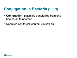 Comprehensive Overview of Microbial Genetics and Gene Regulation in ...