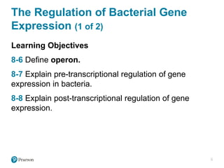 Comprehensive Overview of Microbial Genetics and Gene Regulation in ...