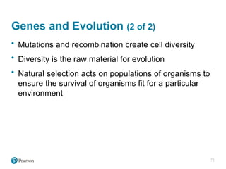 Comprehensive Overview of Microbial Genetics and Gene Regulation in ...